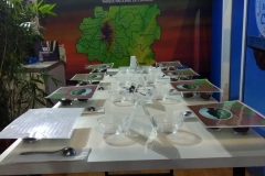 Semana-Internacional-do-Café-20192
